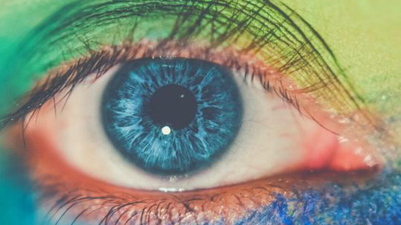 Un canto a la vida cantoalavida