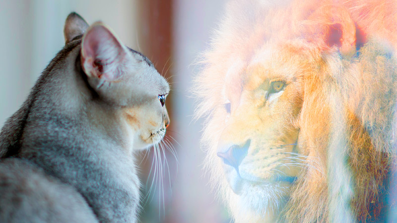 Poder autoestima poder autoestima