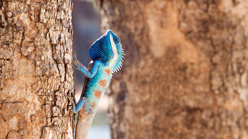Yo cambio y todo cambia yocambio todocambia